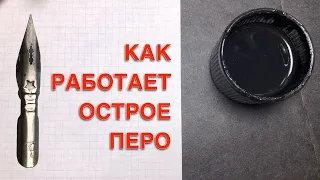 Как работает острое перо для каллиграфии.