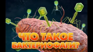 Анимационный ролик Бактериофаги Микроген