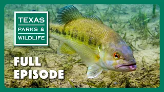 PBS Show - Guadalupe Bass, Big Cypress Bayou & Caprock Canyons