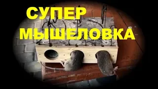 Супер мышеловка для дома.