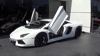 Lamborghini Aventador LP700-4 Drive Engine Sound Revs White BEAST at Lamborghini Miami