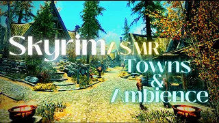 Skyrim  Music & Ambience  Towns 10 Hours #skyrim #asmr #rain