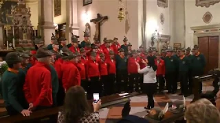 10° Raduno "Gr. Conegliano" 3° Art. Mont. -Signore delle Cime- (video. L. Rinaldo)