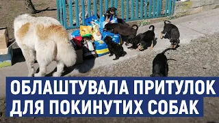 Жителька Кіровоградщини прихистила собак, яких лишають кропивничани та переселенці з інших міст