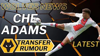 CHE ADAMS 🚨 Wolves In Advanced Talks to Sign Southampton Striker