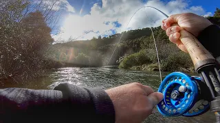 Fishing a flooded river! Perfect conditions for Trout!!