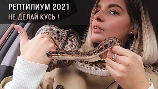 Выставка РЕПТИЛИУМ 2021: распаковка змей на 100 тысяч рублей, чуть не укусил удав!