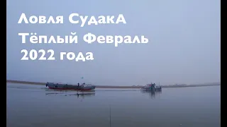 Ловля судака в Оттепель в ФЕВРАЛЕ 2022 года!!!