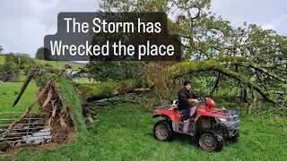 Storm has wrecked the farm, Getting sheep ready for the Ram, #ewes #lambs #farming #shepherd shepher