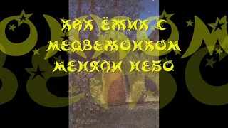 «КАК ЁЖИК С МЕДВЕЖОНКОМ МЕНЯЛИ НЕБО», С.Г. Козлов, "ВСЕ СКАЗКИ О ЁЖИКЕ", аудиокнига