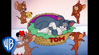 Tom & Jerry em Português | Brasil | Jerry o Atrevido | WB Kids