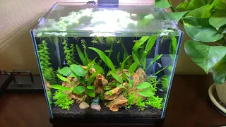 Aquatop 5 Gallon  Pisces  Review