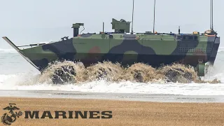 U.S. Marines. ACV Amphibious Combat Vehicles. Training in the Sea.