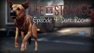 Life Is Strange Episode 4 IF YOU GOT FRANK'S DOG HURT IF YOU TRIED TO SHOOT FRANK | Dark Room