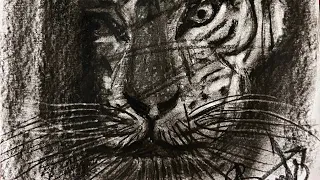 Draw tiger 🐯 with charcoal