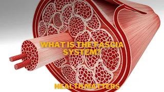 What is the Fascia System and why this is it so important to your body?