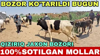 QIZIRIQ JAXON MOLBOZORI SOTILGAN MOLLAR NARXLARI 12.05.2024