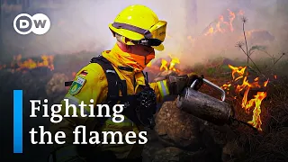 Wildfires - How can forests be saved in the climate crisis? | DW Documentary