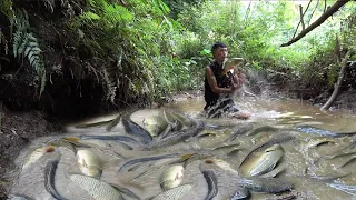 Unique fishing - The man used the pump to suck all the water in the lake  - Catch a lot of fish