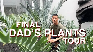 Final Dad’s plants Tour - We Sold The House! Rare Cycads, Encephalartos, Large Aroids, and More.