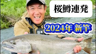 桜鱒連発！2024年新竿で挑んだ本流には桜鱒がたくさん