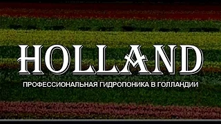 #095 Профессиональная гидропоника в Голландии (ТИЗЕР).