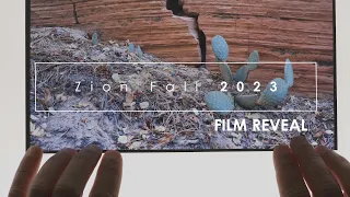 Zion Fall 2023: Film Reveal (Large Format Landscape Photography)