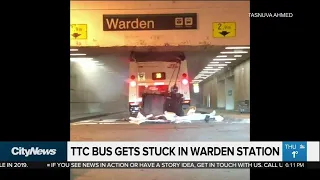 TTC bus damaged as driver goes through wrong tunnel