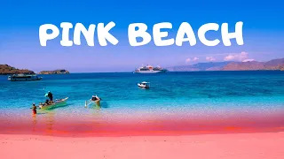 Pink Beach | Komodo National Park | Indonesia
