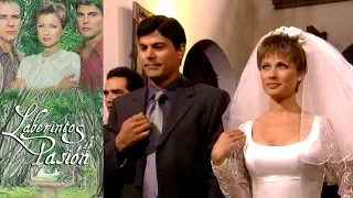 Laberintos de Pasión - C-79: ¡Gran Final! Julieta y Pedro unen sus vidas | Tlnovelas