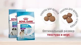 Royal Canin Giant Puppy