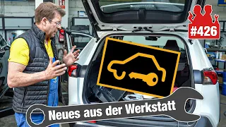 Toyota verlangt 800 EUR von geflüchteter Ukrainerin! | Löst Holger das Batterie-Problem?