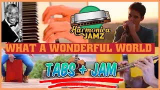 What a Wonderful World: HARMONICA Tabs + JAM