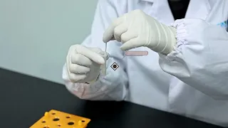 Feline Parvovirus (FPV) Antigen Rapid Test Kit