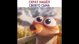 История Скрата