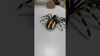 Remote Control Fog Ejection Spider #shorts #shortsyoutube