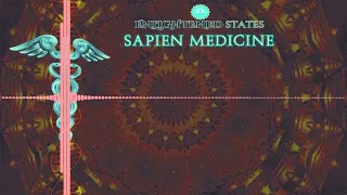 Senescent Cell Removal by Sapien Medicine