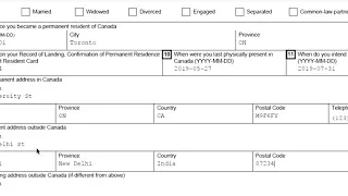 imm 5524e Application For Permanent Resident Travel Document how to fill