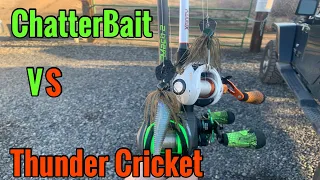 Chatterbait Vs ThunderCricket!!!!!