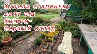 Купили стареньку дачу під Києвом- всі  овочи та квіти будемо вирощувати саме на неї..