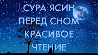 СУРА ЯСИН ПЕРЕД СНОМ СПОКОЙСТВИЕ НА ВСЮ НОЧЬ И ЛЕГКОСТЬ С УТРА КРАСИВОЕ ЧТЕНИЕ / MISHARY RASHID