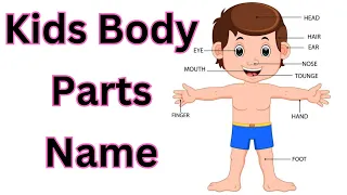 Learn Parts Of Body  Parts of Body Name in English  Human Body Parts   Diana and Roma  My Body parts