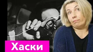 Реакция МАМЫ на Хаски - Иуда