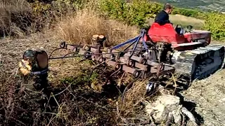 Arrancando arboles con tractor oruga