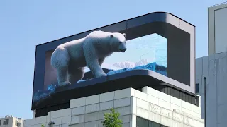 서울 시청역에 거대한 북극곰 출몰한 이유