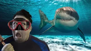 How To Kill A Shark