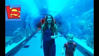 Самый большой в мире Аквариум с Акулами ДУБАИ Молл | Day#2