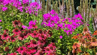 🌷🦋Garden TOUR with LOTS OF BUTTERFLIES 🦋 #garden #gardening #butterfly