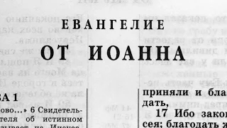 Библия. Евангелие от Иоанна. Новый Завет (читает Александр Бондаренко)