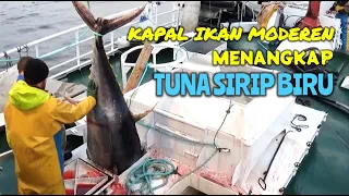 BEGINI CARANYA KAPAL IKAN MODEREN BERBURU TUNA SIRIP BIRU